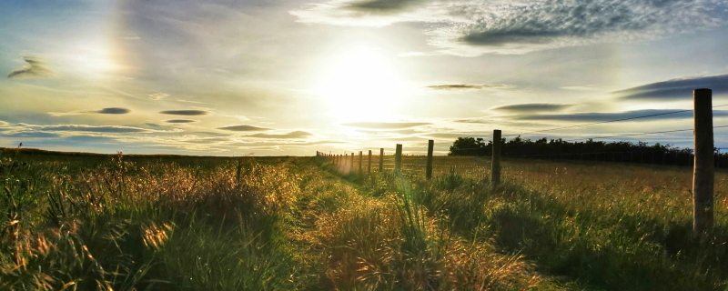 Village 2